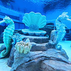 수심 5m의 야외 다이빙