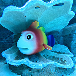 바다 속을 재현해 놓은 블루홀라군