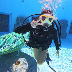 무료 수중 사진 촬영 제공