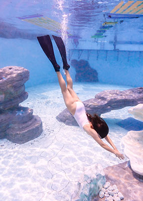 펀 스쿠버 다이빙 사진