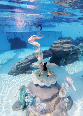 해양 오픈워터 자격증