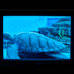 바다 속을 재현해 놓은 블루홀라군