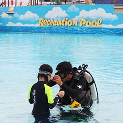 수심 1.8m의 안전한 야외 다이빙