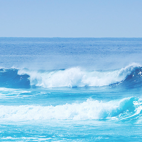 체계적인교육시스템