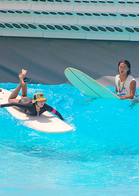 라인업 레슨 사진